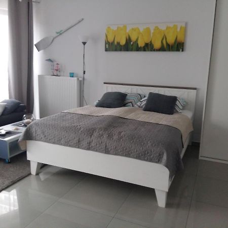 Gracja Horyzont-Apartament Z Parkingiem Miedzyzdroje Kültér fotó